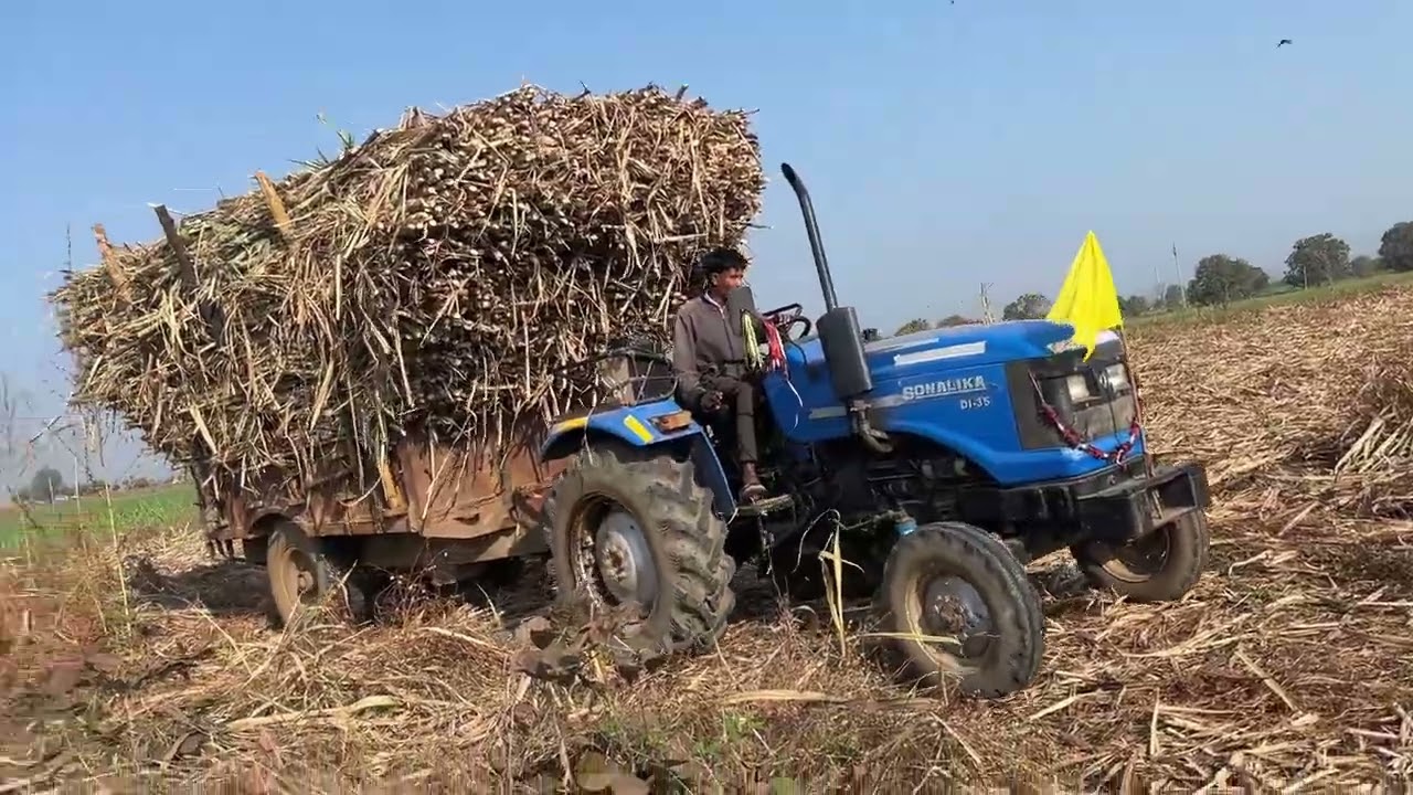 गन्ना की tirali 🌾🌾 Rx Sonalika #viral #minivlog #vlog #nishudaswal #shortvideo #funny #automobile 