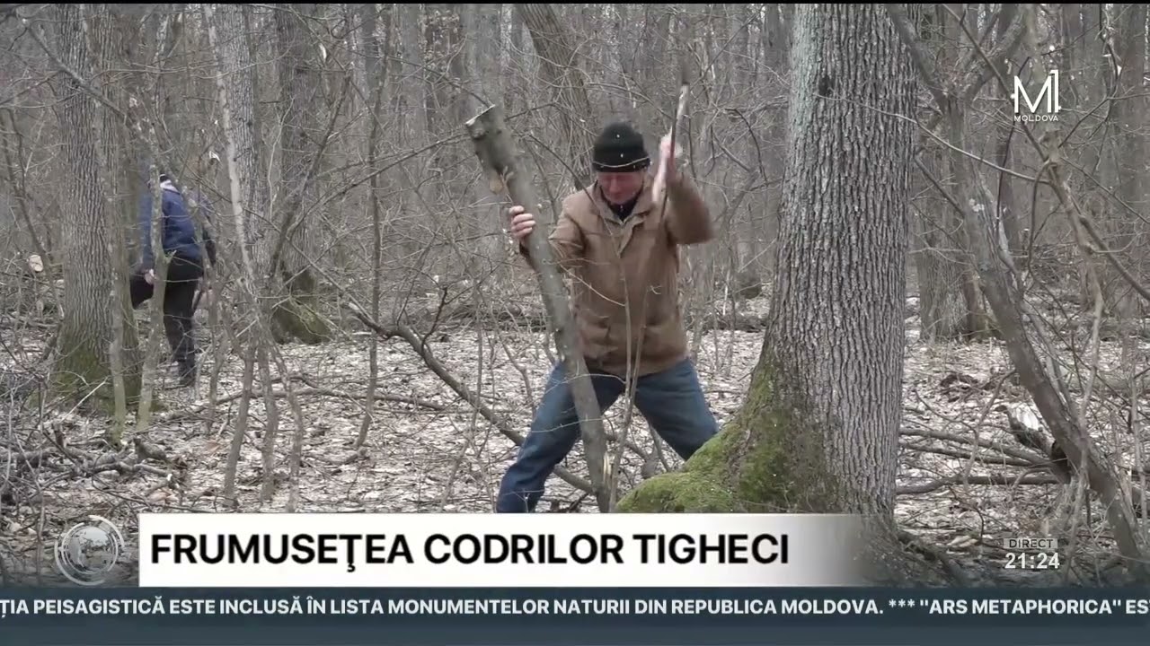 Codrii Tigheci, în lista monumentelor naturii din R. Moldova