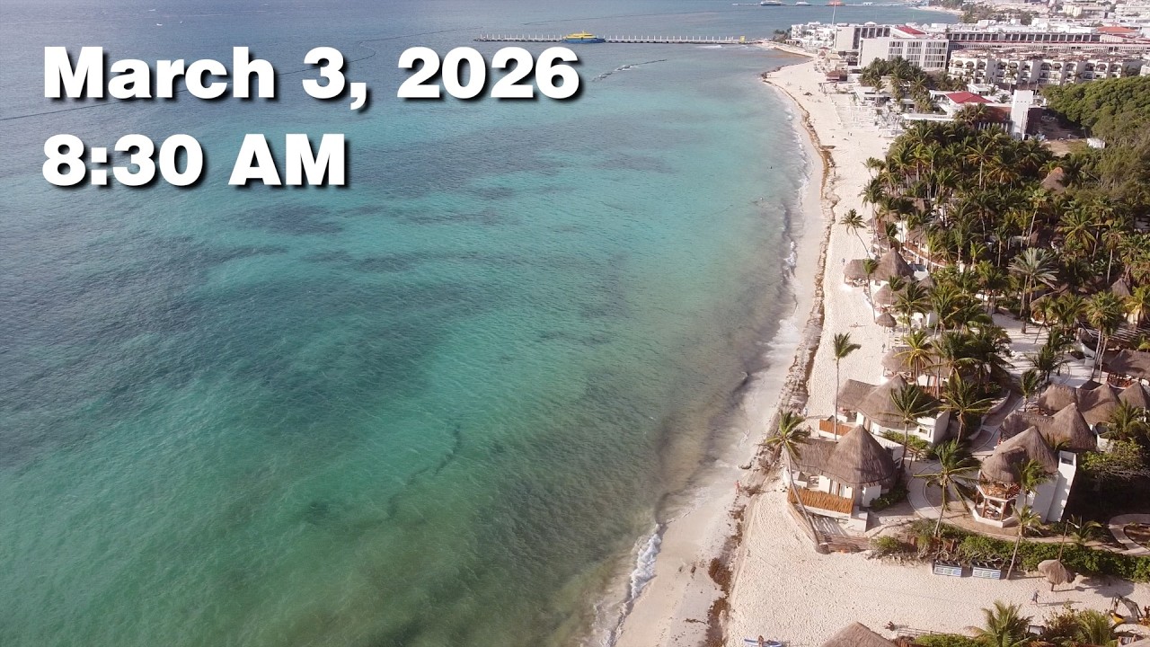 Daily Sargassum Sargasso Seaweed Report at Playa del Carmen, Mexico - March 3, 2026 #sargassum