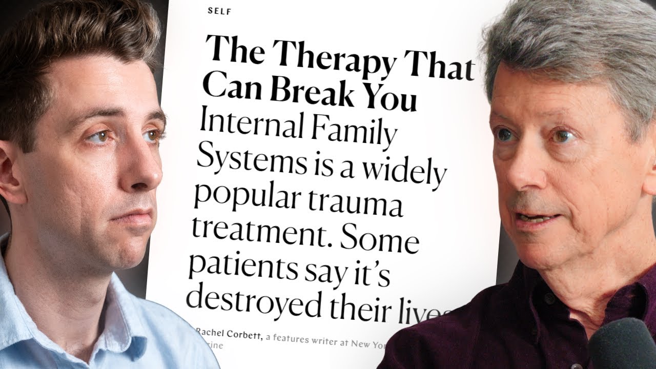 The Therapy Wars: Science, Self-Help, and that IFS Article | Being Well