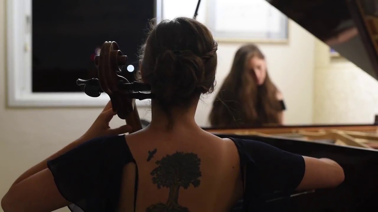 Westworld theme - Acoustic cover