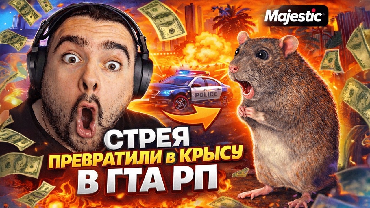 СТРЕЙ ПОКОРЯЕТ АМЕРИКУ В ГТА 5 РП | Stray228