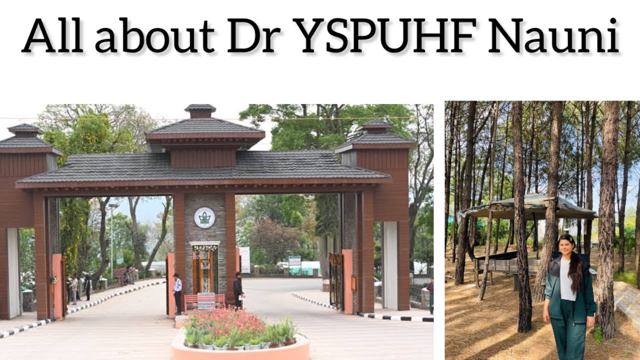 DR YASHWANT SINGH PARMAR UNIVERSITY, NAUNI, H.P., Inidia |All doubts cleared| Scopes after forestry