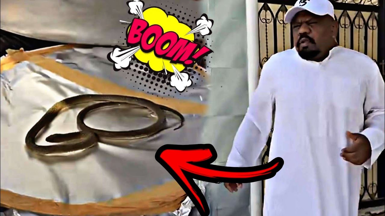 سنابات ابوشنب | ابوشنب مقلب دحدوح بالحنش 🤣🔥