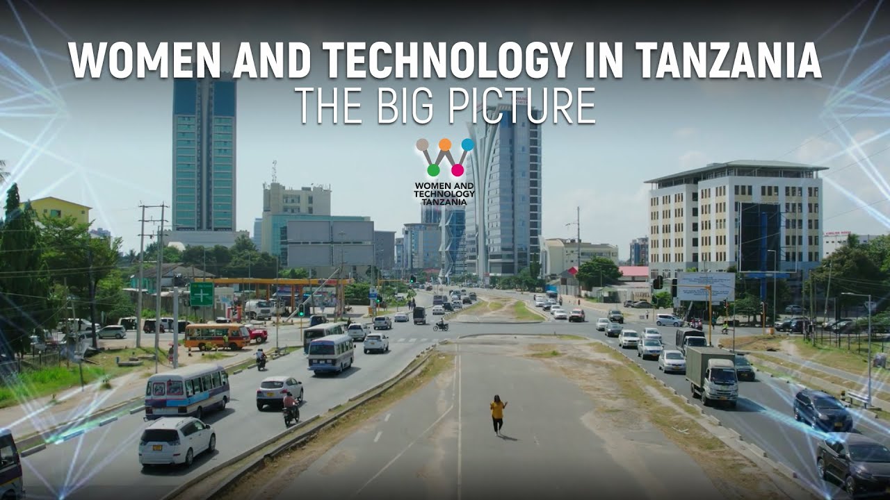 Women and Technology in Tanzania: The Big Picture