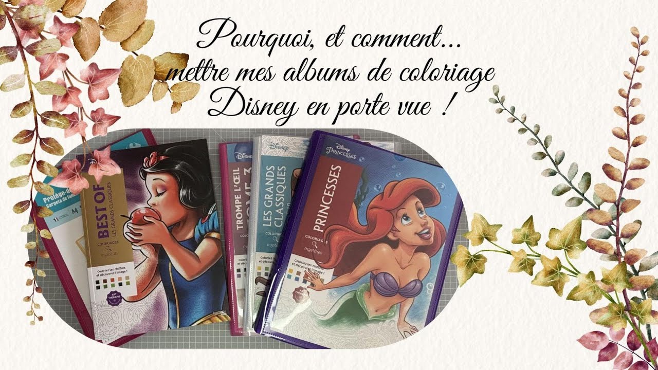 Comment et pourquoi j'aime mettre mes livres de coloriage Disney en porte-vue