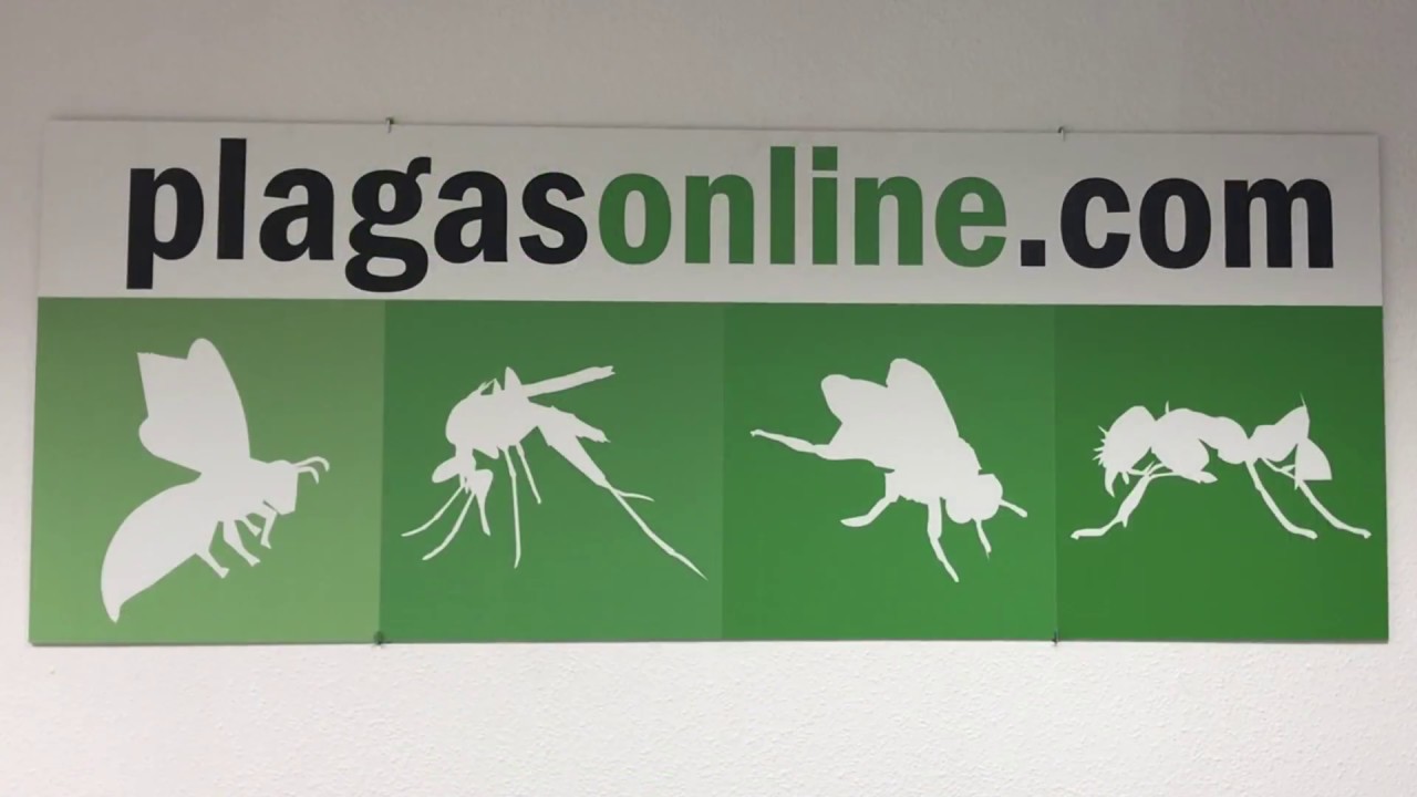 Insecticida Autodescarga Fumígeno
