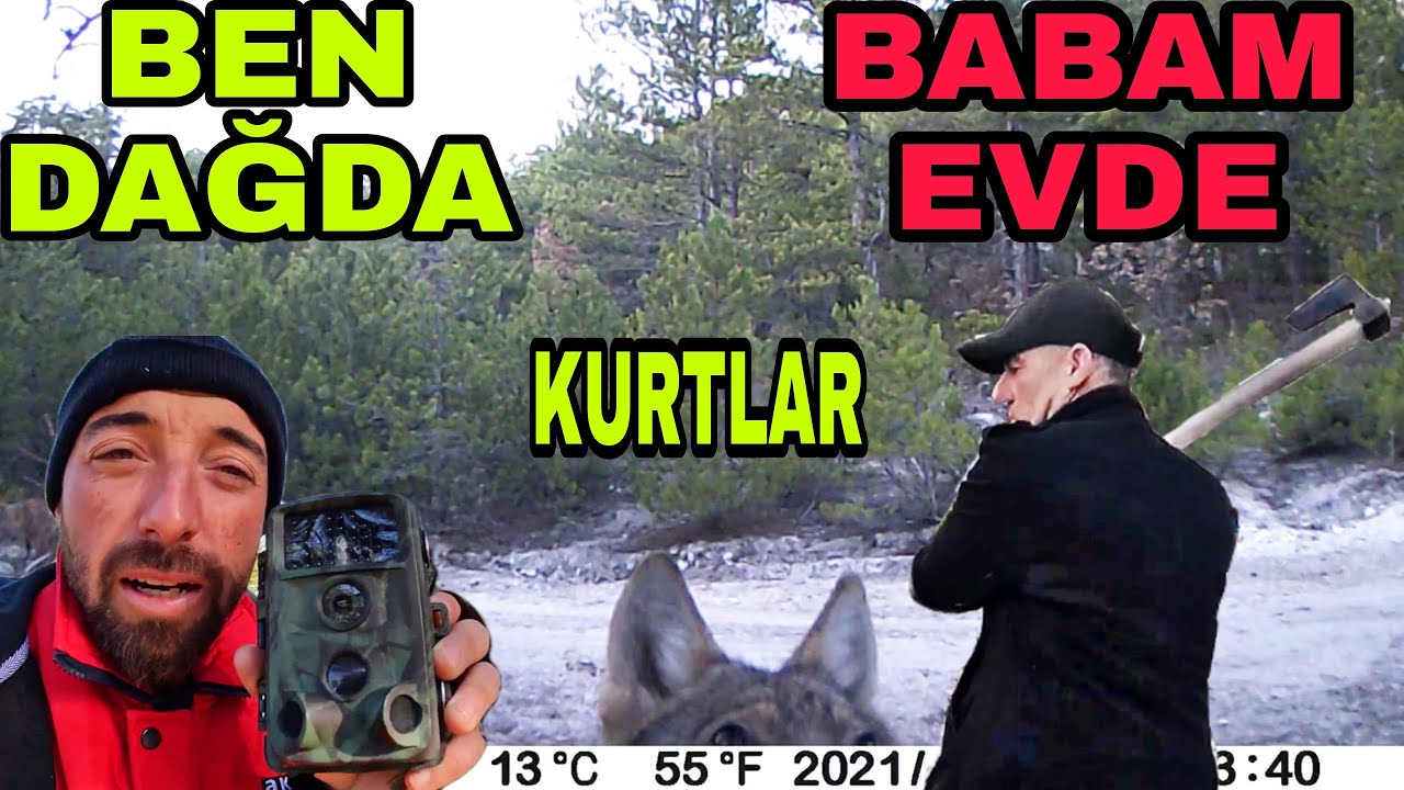 2 AYLIK FOTOKAPAN GÖRÜNTÜLERİ !! BABAM EVDE BEN DAĞDA BİR GÜNÜMÜZ