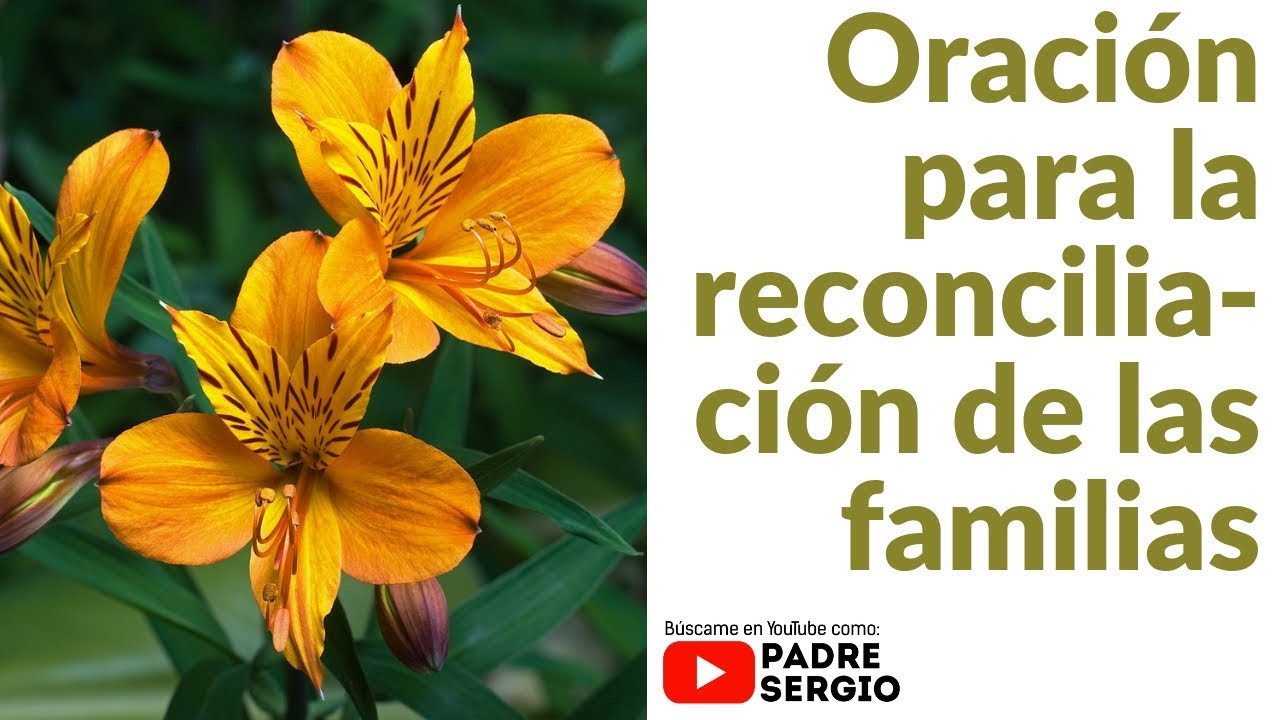 Oración para la reconciliación de las familias