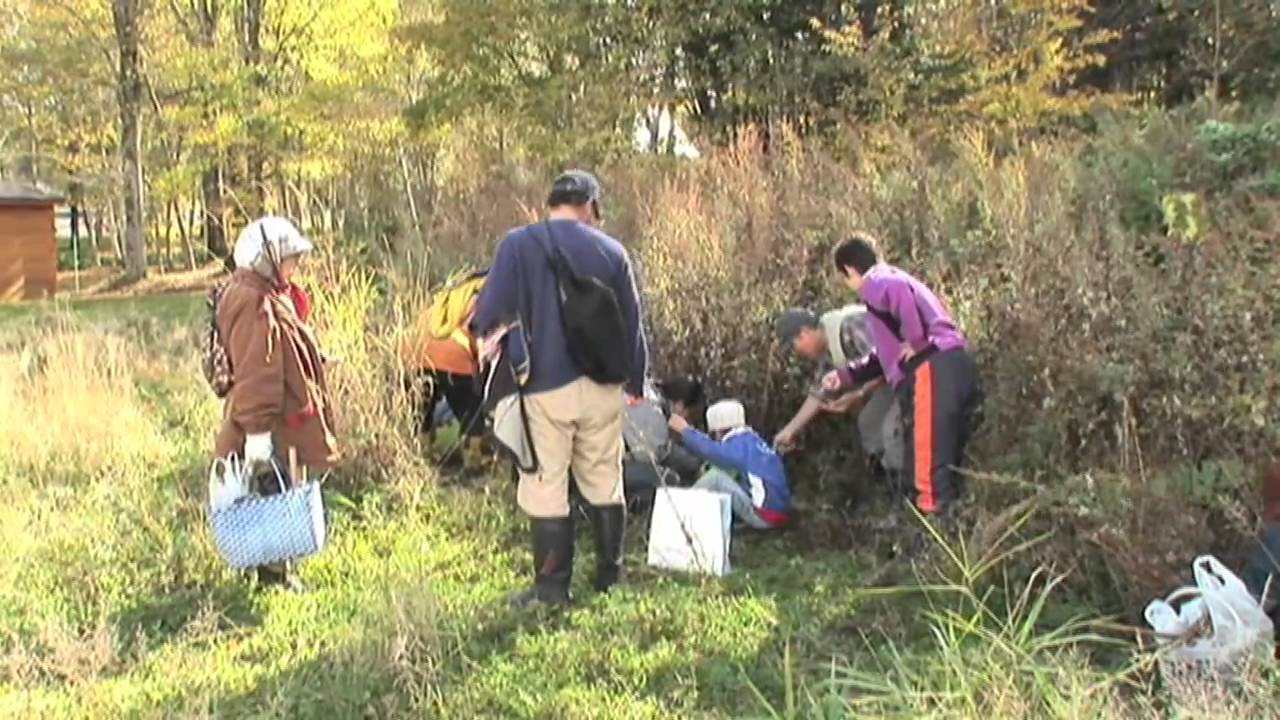 北海道釧路市阿寒町の事例３