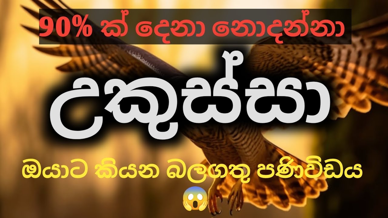 උකුස්සා = Warning එකක්ද? 😱 @divineflow-Thathsarani 