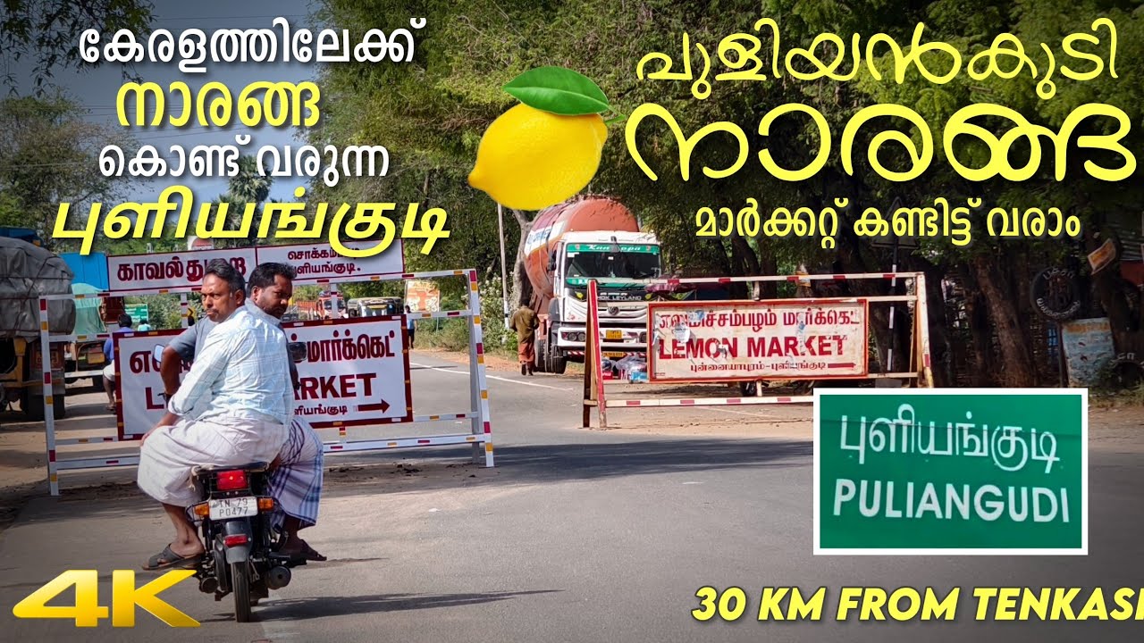 തമിഴ്നാട്ടിലെ ലെമൺ സിറ്റി പുളിയൻകുടിയിലേക്കൊരു യാത്ര  | Punalur Puliyankudi | Sengottai Tenkasi |