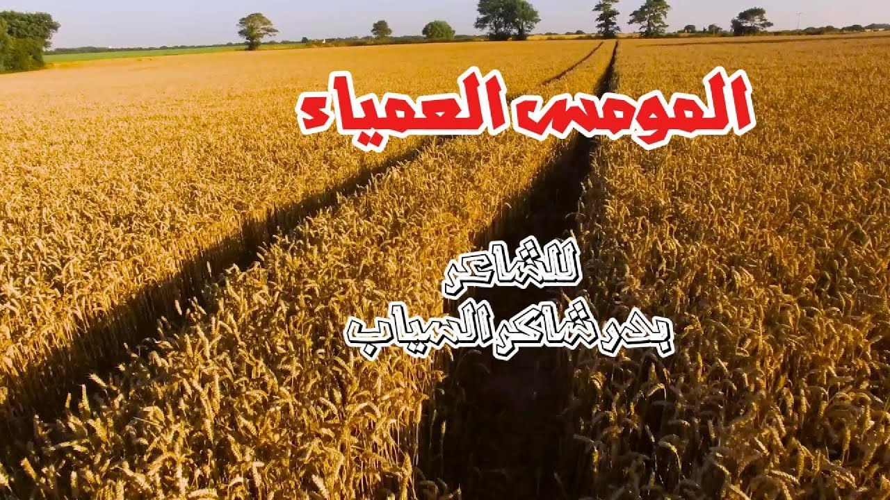 المومس العمياء بدر شاكر السياب ||عبدالرحمن سكرية ||