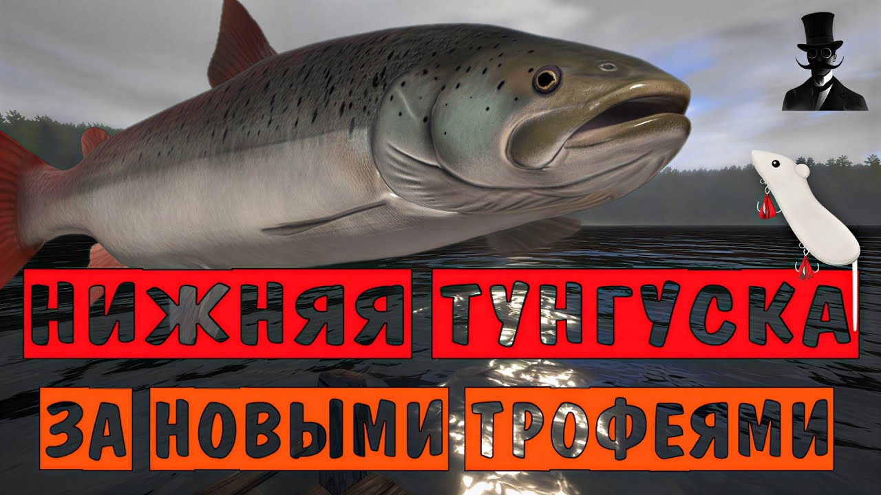 За новыми трофеями. Река Нижняя Тунгуска. Русская Рыбалка 4.