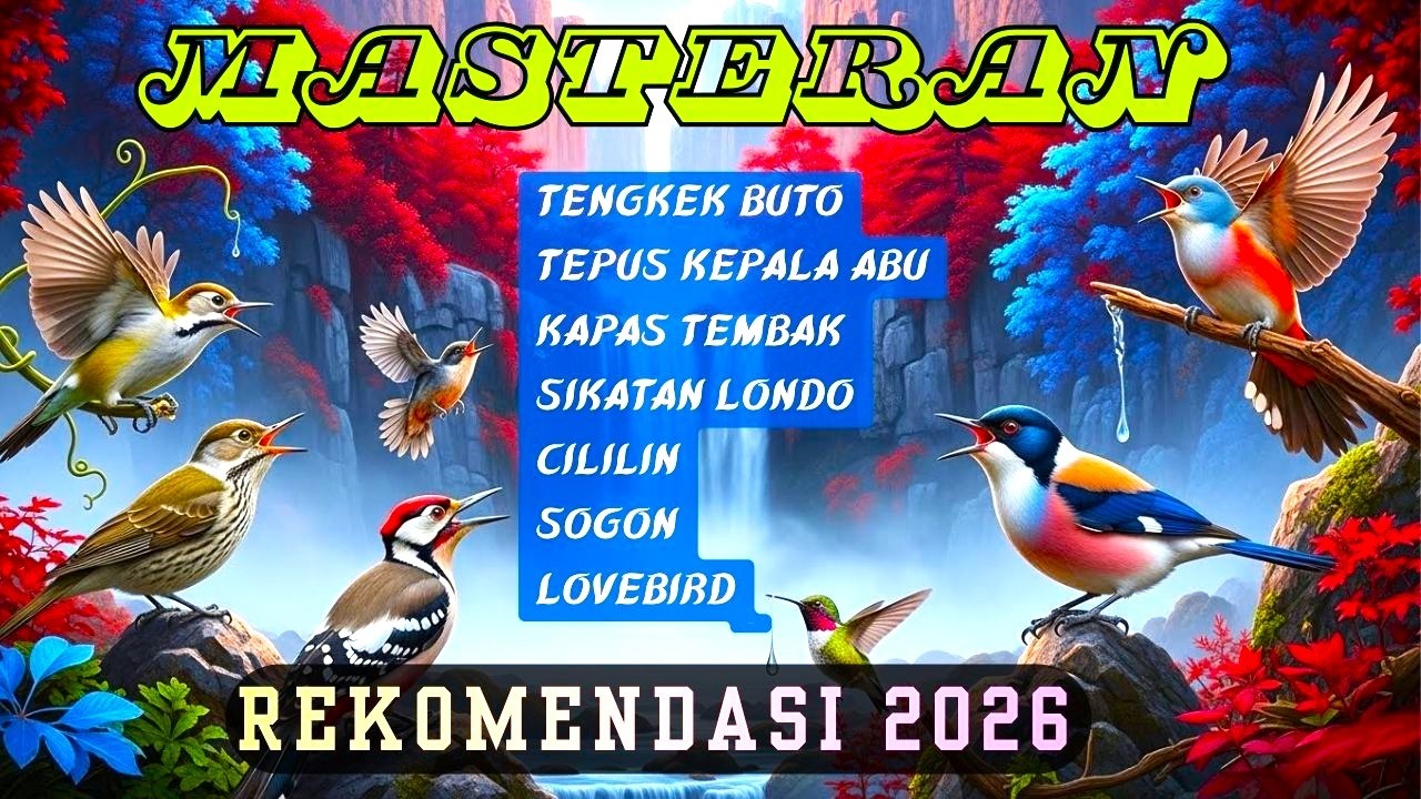 Paling Dicari Kicau Mania | MASTERAN UNTUK SEMUA JENIS BURUNG KICAU