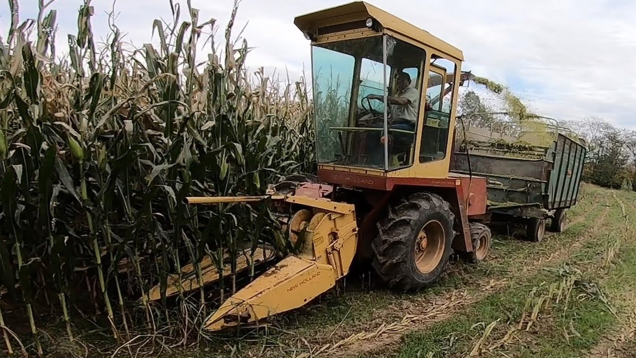 Taking Three Wide With a New Holland 1890 Chopper
