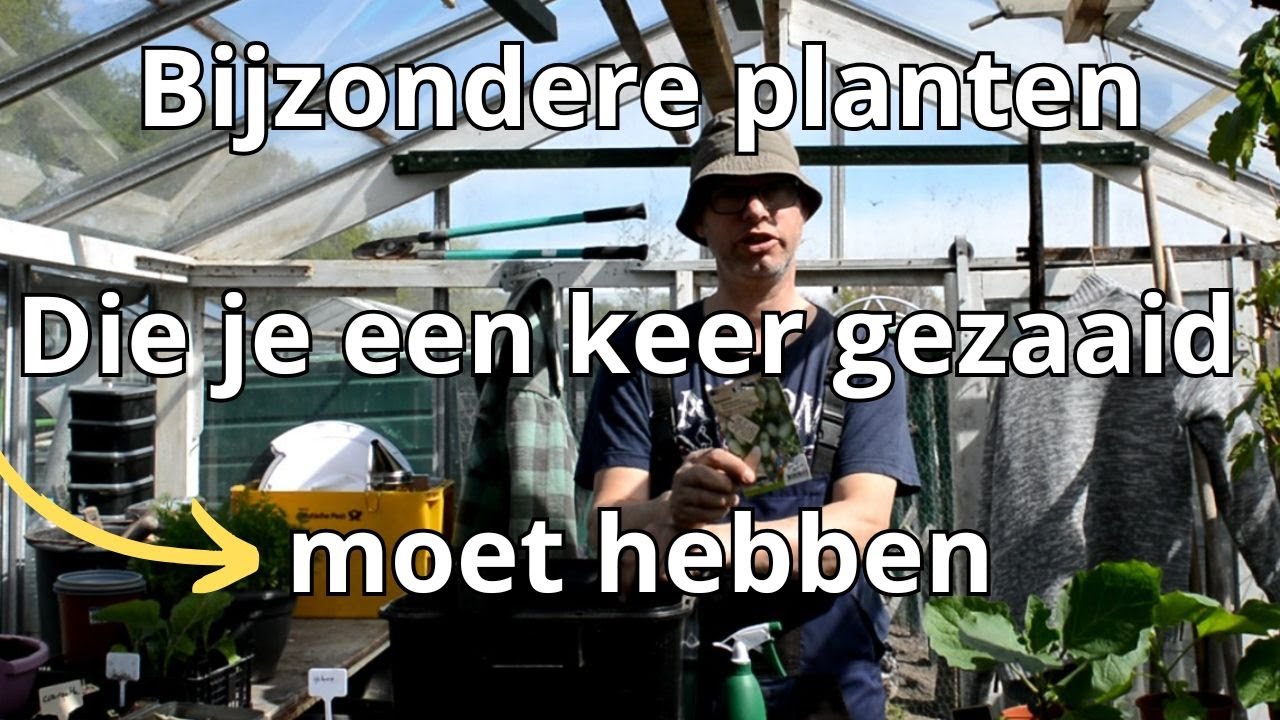 Bijzondere planten zaaien en de kuikens zijn uit.