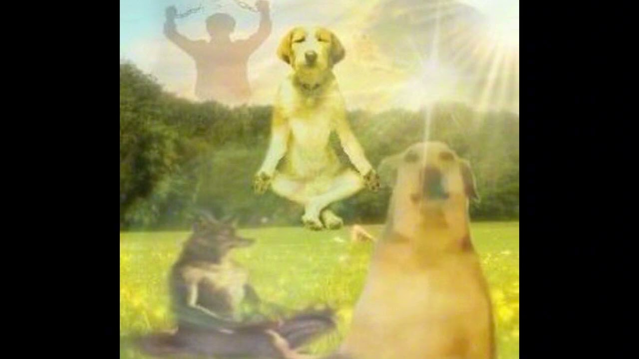 xaviersobased type beat FREE ''nostalgic dream''