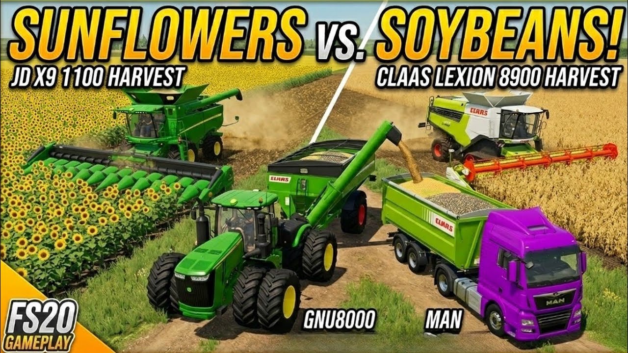 Farming Simulator 20 Harvesting sunflowers and soybeans#fs20 #gameplay #gamingvideos #farming