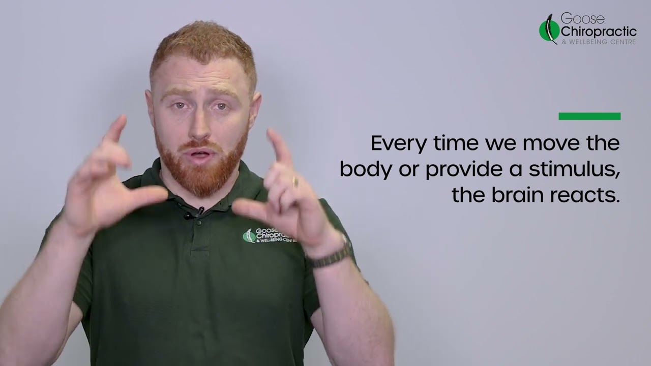 Goose Chiropractic - Promotional Video
