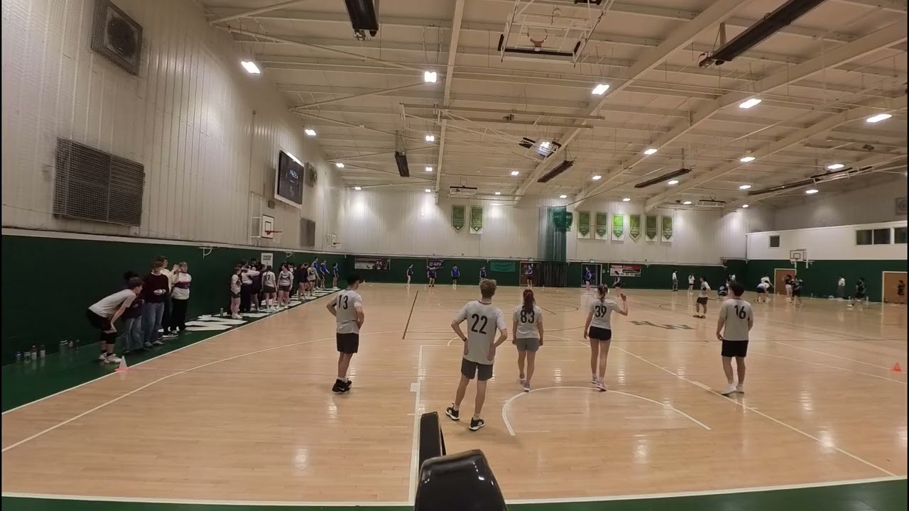 temp video 1771679590149