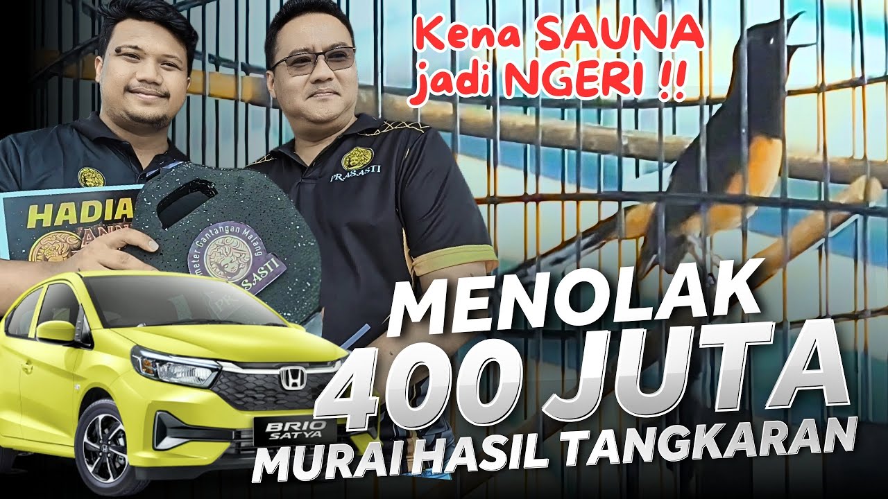 JEMUR SAUNA BISA BAWA HADIAH MOBIL ‼️ Murai SULING SAKTI di Anniversary Prasasti