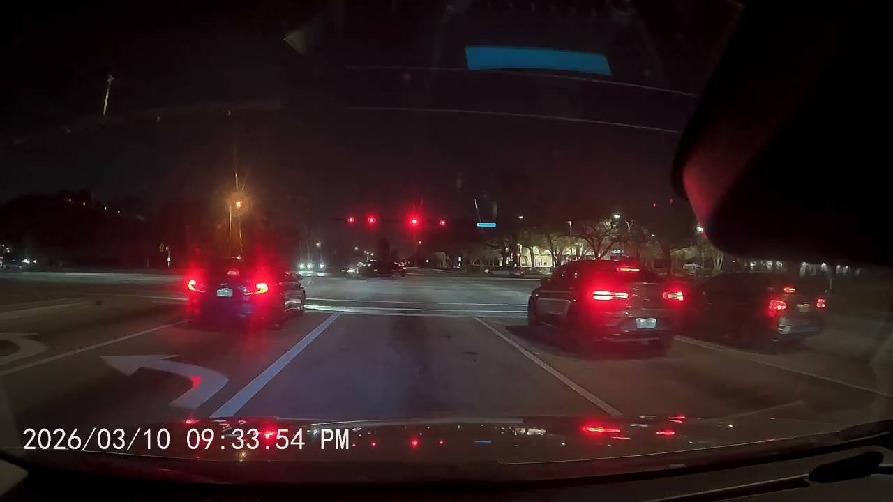Only in Florida: The Most Unreal Highway Moment Ever Recorded