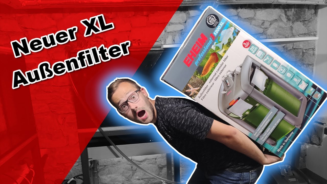 Inbetriebnahme meines neuen Aquariumfilters 🤩 EHEIM professionel 3 1200XL