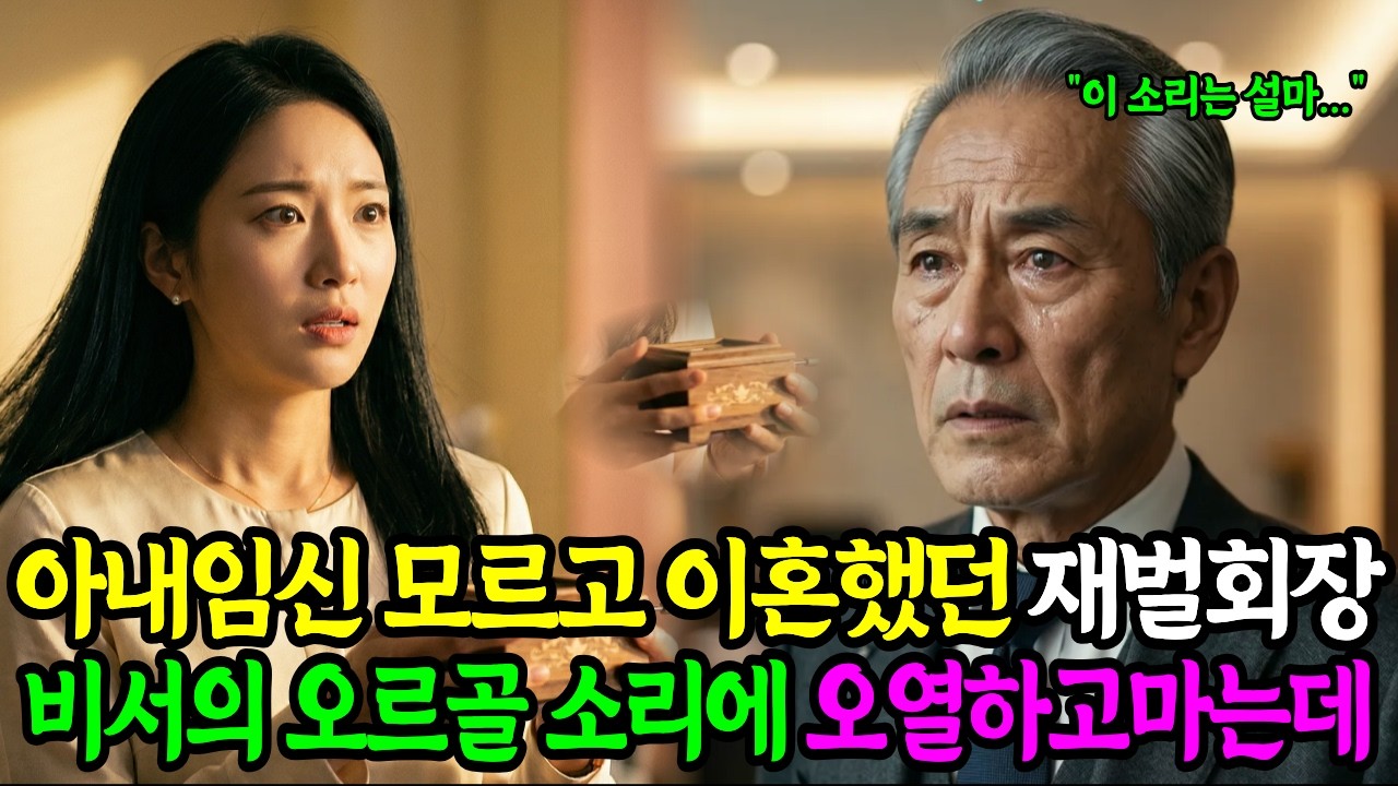 전처 임신사실을 모르고 이혼했던 재벌회장, 신입 여비서의 오르골 소리를 듣고 오열하고 마는데..ㅣ오디오북ㅣ감동드라마ㅣ눈물사연 ㅣ노후사연ㅣ