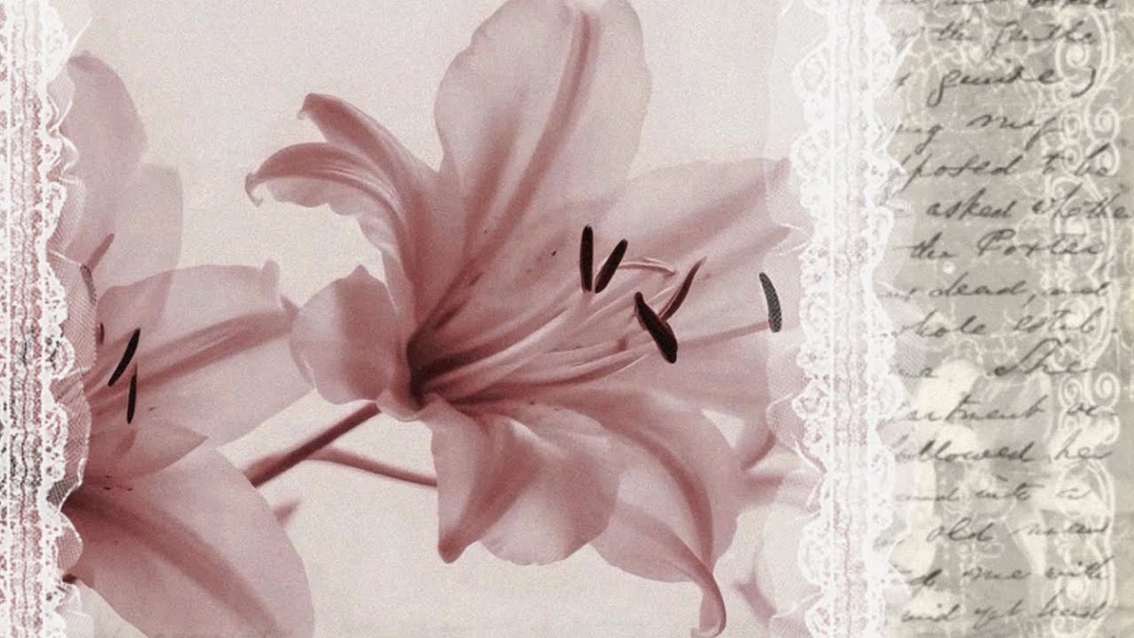 𝙇𝙤𝙫𝙚𝙧 𝙮𝙤𝙪 𝙨𝙝𝙤𝙪𝙡𝙙’𝙫𝙚 𝙘𝙤𝙢𝙚 𝙤𝙫𝙚𝙧 💌+ 𝐓𝐢𝐦𝐞𝐬𝐭𝐚𝐦𝐩𝐬 || 𝟐𝟎+ 𝐀𝐮𝐝𝐢𝐨𝐬 