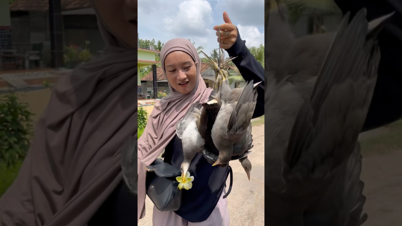SI MAMA DAPET BURUNG DARI MANA ??! #minivlog #hiburanshorts #anakdesa #vlog