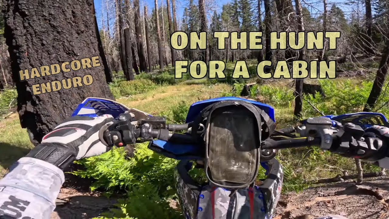 Secret Cabins, Hidden Trails, and Wild Bears at Whiskey Ridge
