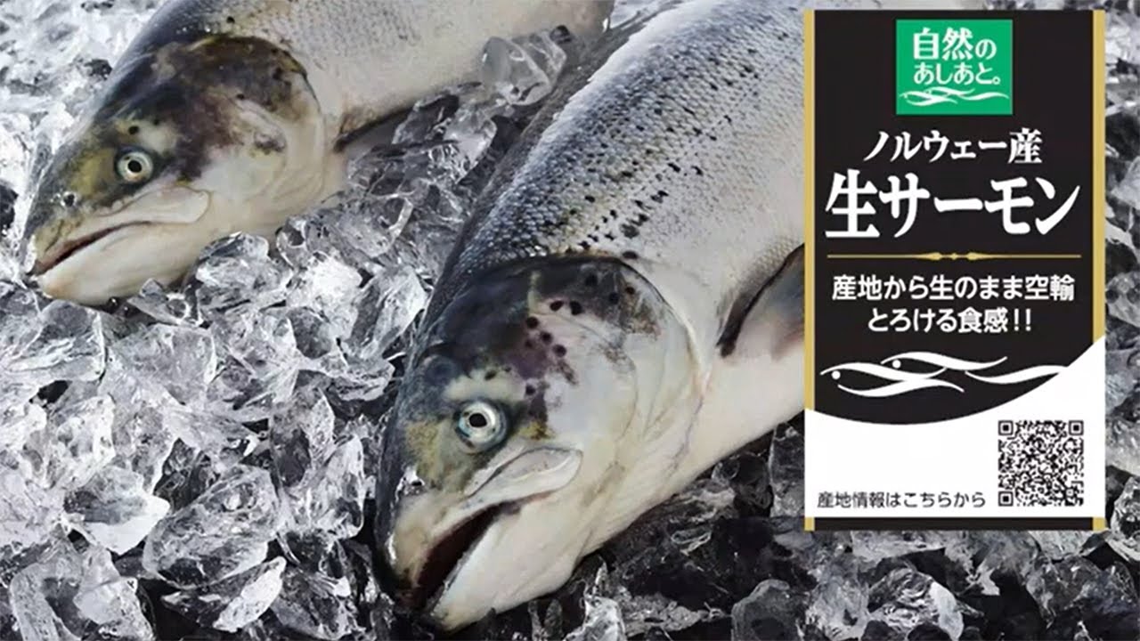自然のあしあと。ノルウェー産生アトランティックサーモン