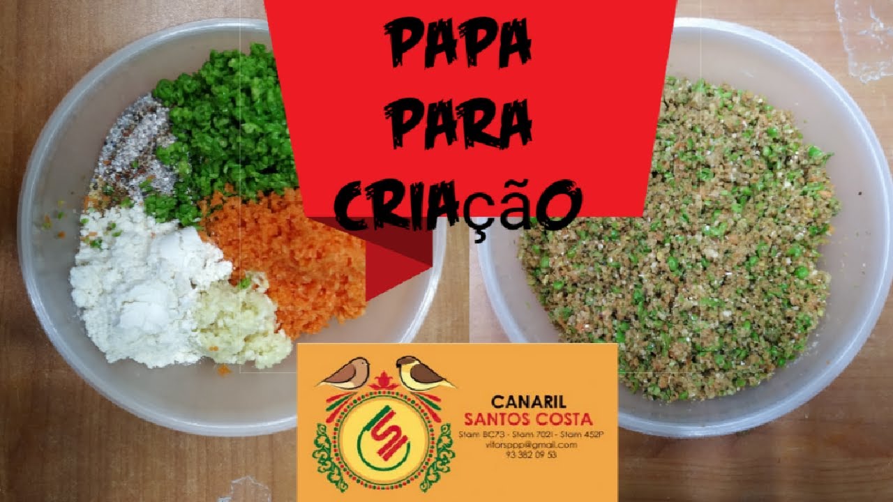 Papa para administrar na época de criação