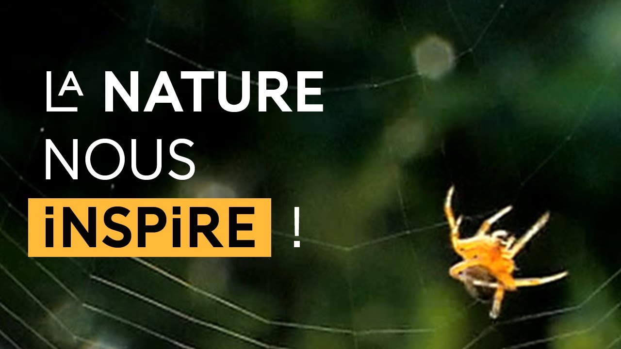Biomimétisme : des idées dans la nature - La science expliquée aux 8-12 ans