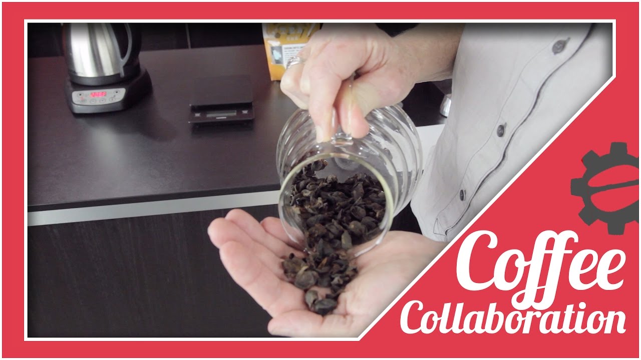 How To Make A Cascara Latte At Home | Coffee Collaboration