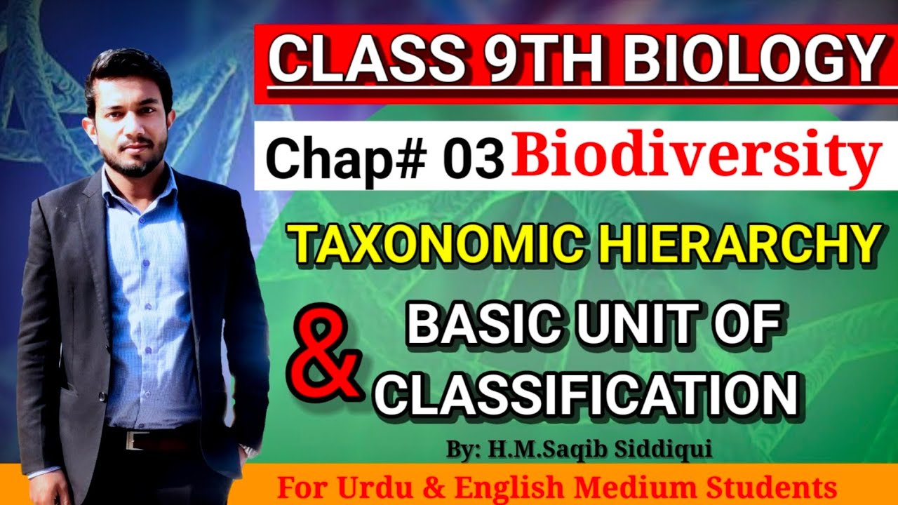 Taxonomic Hierarchy - Specie The Basic Unit Of Classification |9th Class Biology-Chap 3 Biodiversity