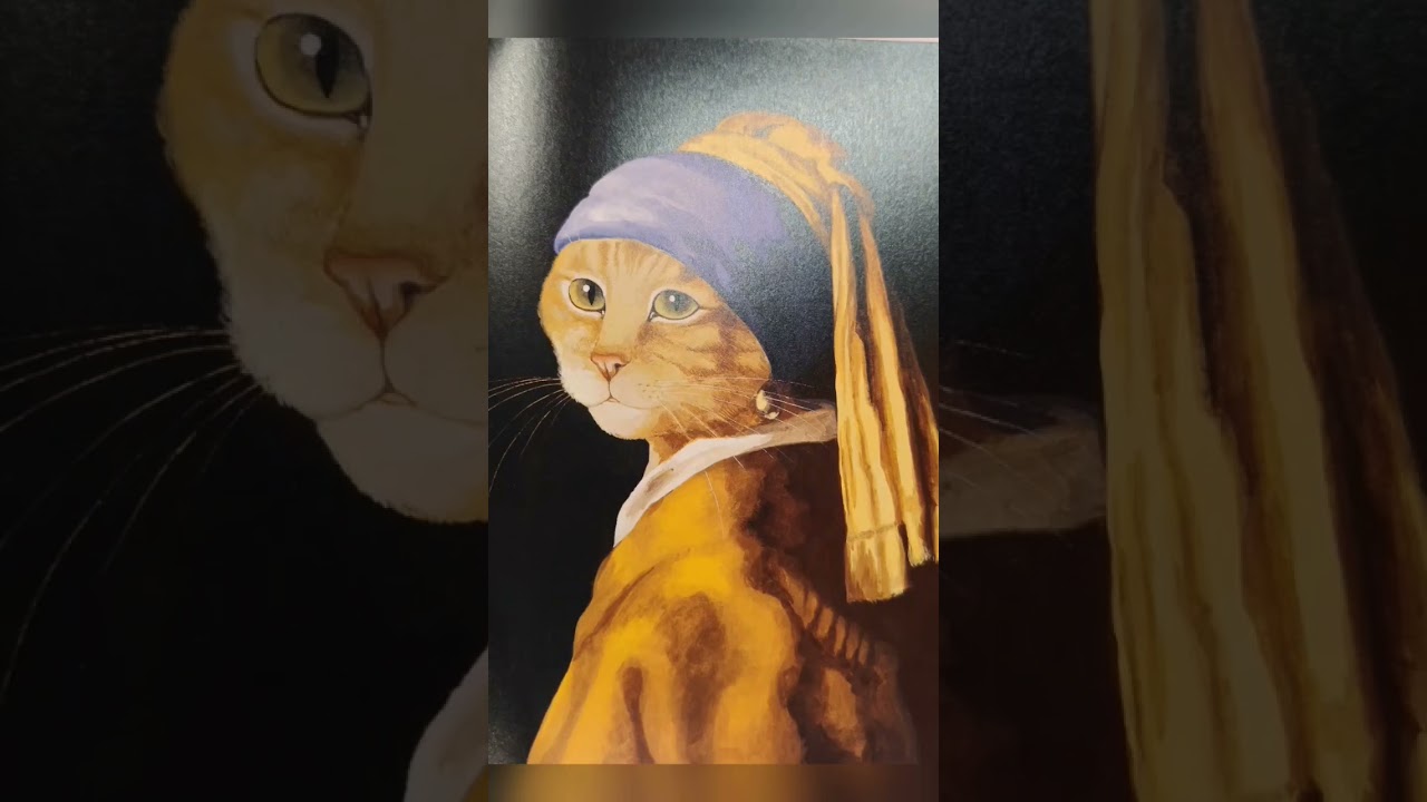 可爱猫猫进错片场