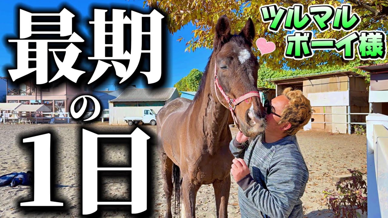 【最期の24時間】ツルマルボーイ号の最期について、皆様にどうしても伝えたくて動画を作りました。