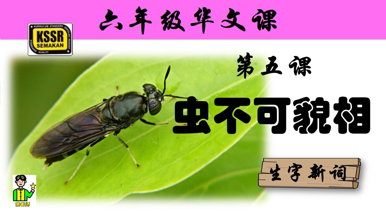 六年级华文 第五课 《 虫不可貌相 》生字新词 含义 汉语拼音 例句 笔顺 KSSR SEMAKAN