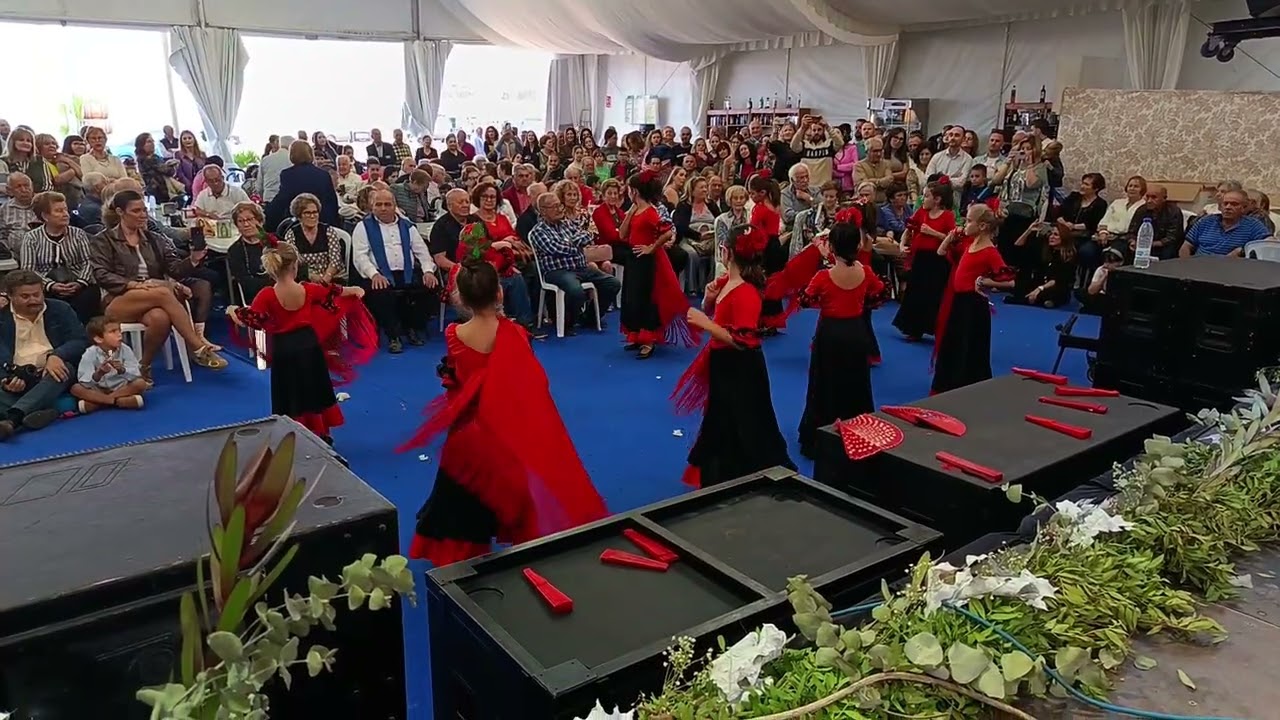 4-11-2025 Baile de Sevillanas Grupo Pequeñas Flamencas caseta municipal  video 1