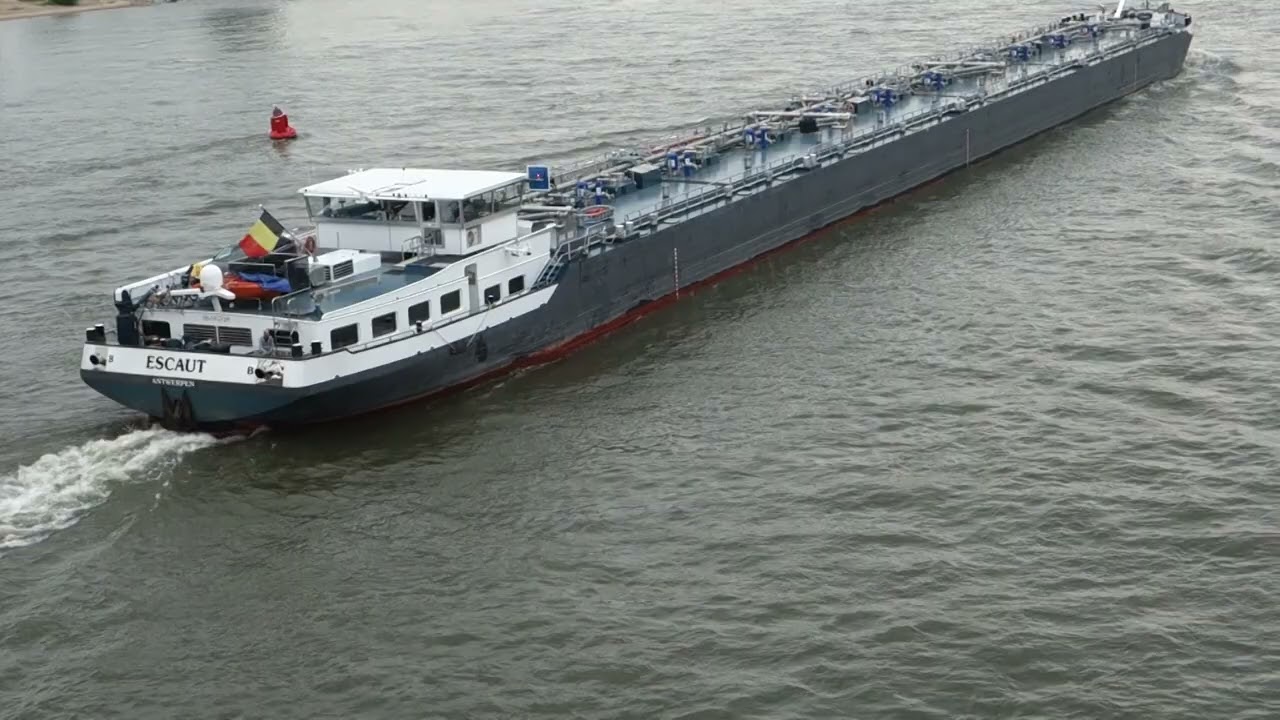 SHIPS ON THE RHINE: STATENSTAD-ELEONORA-ESCAUT-RES NOVA-ALFA BIANCO-PAMELA-SOMTRANS XV