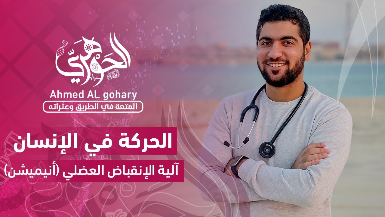 ٧- الحركة في الإنسان- آلية الإنقباض العضلي (أنيميشن)