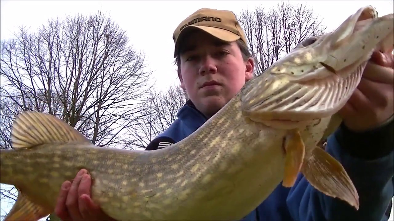 jerkbait vissen | een mooie snoek