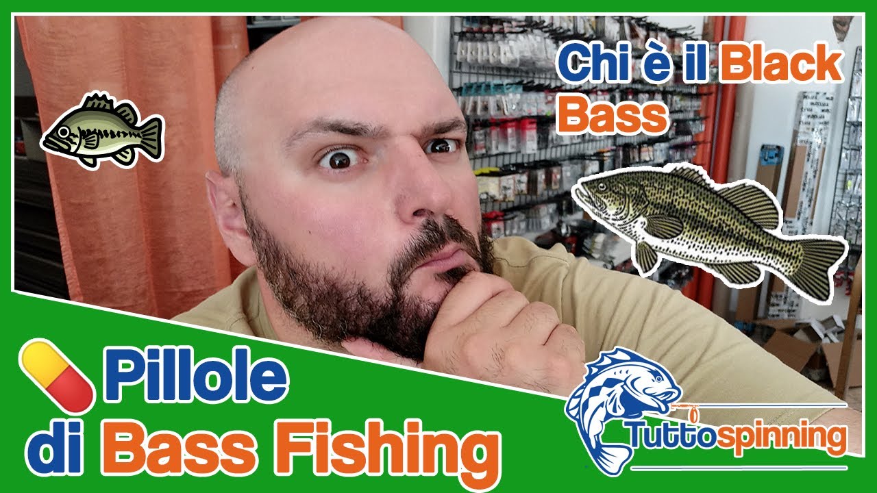 CHI è il BLACK BASS e COME è arrivato in ITALIA 💊 Pillole di Bass Fishing