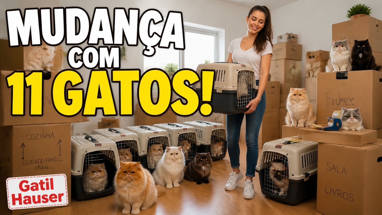 O dia da MUDANÇA com GATOS - Gatil Hauser