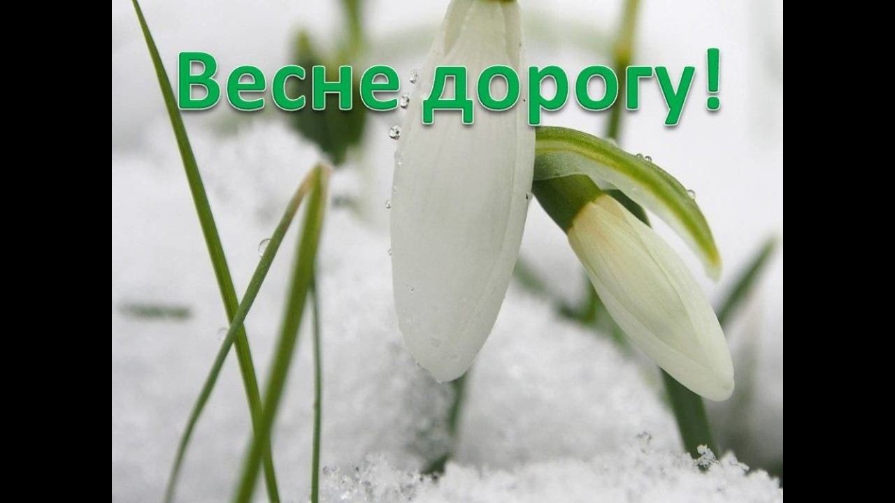 Весна идет, Весне дорогу!  1.03.2026 г.