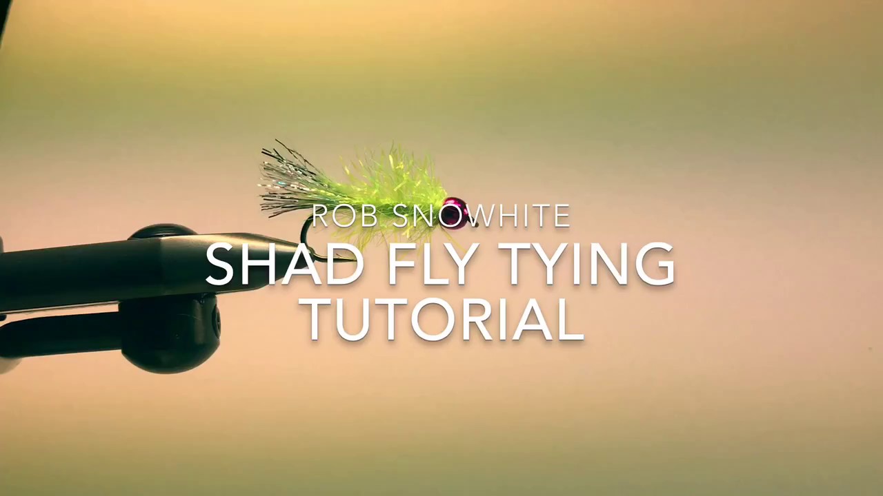 Shad Nom Nom Fly Pattern Tying Tutorial