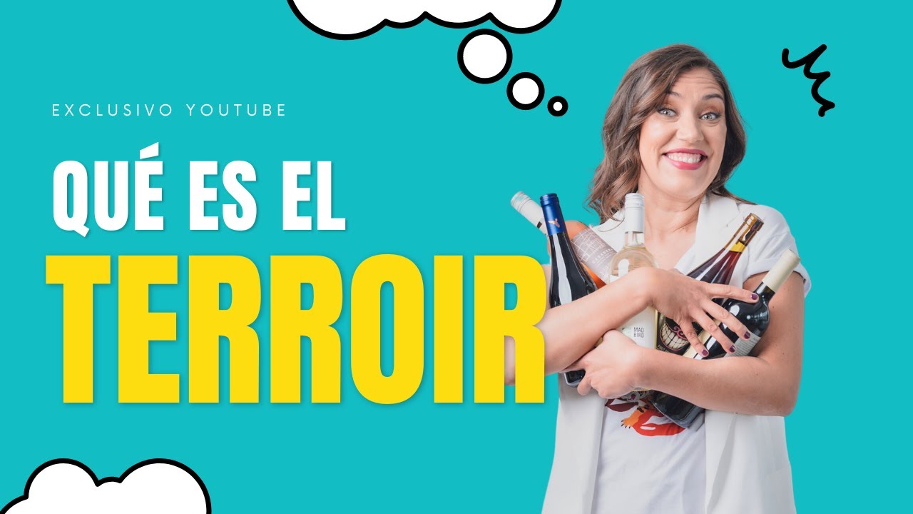 ¿Qué es y cómo impacta el terroir en el vino?