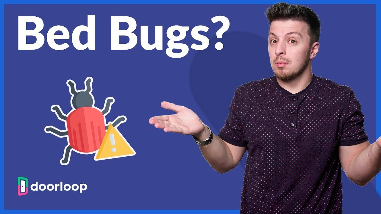 Is a Landlord Responsible for Bed Bugs?